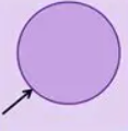 <p>total distance around circles edge</p>