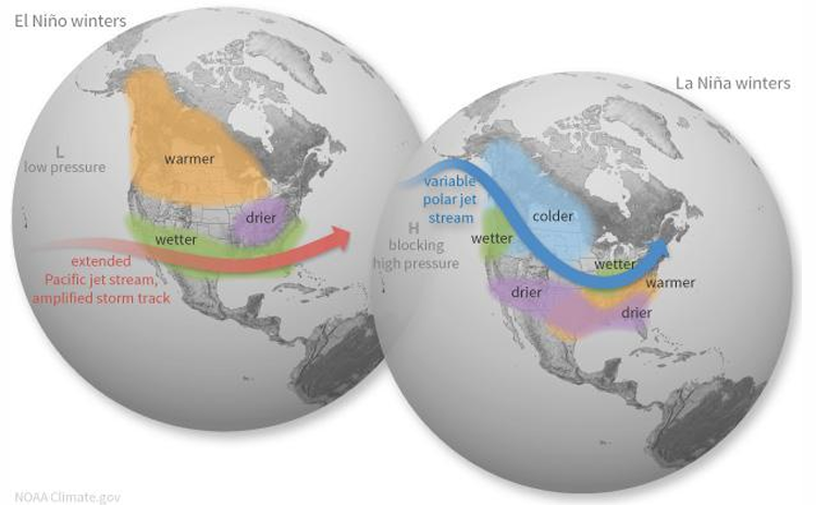 <p>ENSO air currents </p><ul><li><p>warmer</p></li></ul><p></p>