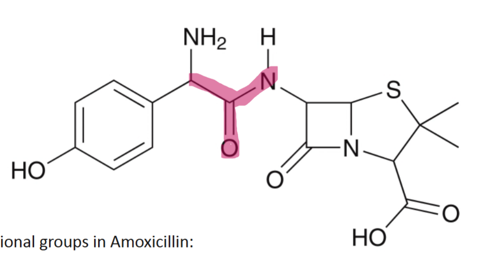 <p>What functional group is highlighted</p>