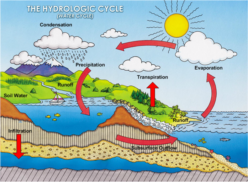 <p>(noun) the scientific study of water</p>