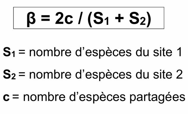 <p>La diversité bêta (β) mesure la différence de composition en espèces entre plusieurs sites.</p><p>Elle mesure le taux de remplacement des espèces entre deux habitats ou sites différents et reflète le turnover des espèces.</p><p>Une diversité bêta élevée signifie que les deux sites partagent peu d’espèces en commun.</p>