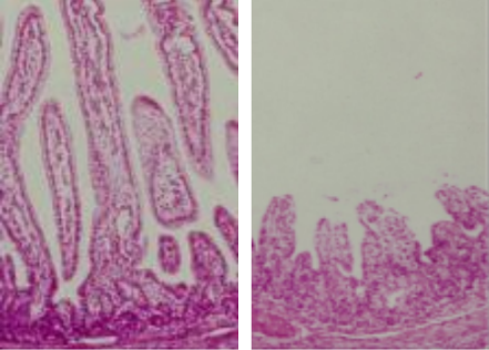 <p>What does this image show?</p>