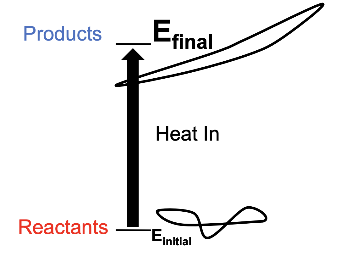 <ul><li><p>Heat energy absorbed by the system, causing the surroundings to cool</p></li><li><p>(Change of H) > 0</p></li><li><p>Enthalpically unfavorable  </p><ul><li><p>low to high</p></li><li><p>bad for system</p></li></ul></li></ul><p></p>