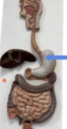 <p>name the parts</p>