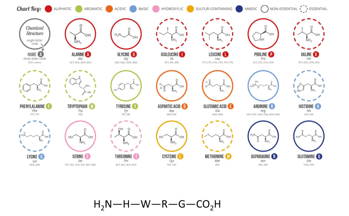 <p>draw the full structure of this </p>