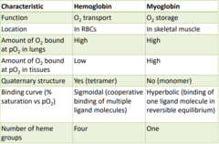 <p>Myoglobin: </p><p>- has higher O2 affinity</p><p>- stores O2, but isn't a great transporter </p><p>- Consists of a single polypeptide chain</p><p>- Tertiary structure consists mainly of alpha helices</p><p>Hemoglobin:</p><p>- Primary role is to transport oxygen from the lungs to tissues and organs and to carry carbon dioxide, a waste product, from the tissues back to the lungs for exhalation.</p><p>-Consists of four polypeptide chains: two α chains and two β chains.</p><p>- Each chain has a heme group, making a total of four heme groups.</p><p>- Tertiary structure is also predominantly alpha helical.</p><p>- Exhibits a quaternary structure due to the association of multiple subunits.</p><p>- Hemoglobin undergoes cooperative binding, where the binding of one oxygen molecule enhances the binding of subsequent molecules. This allows efficient oxygen transport.</p>