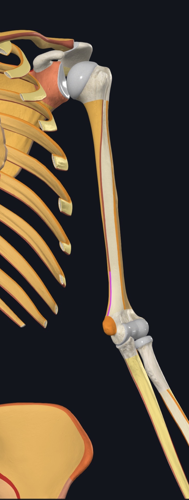 <p>what is this?</p>