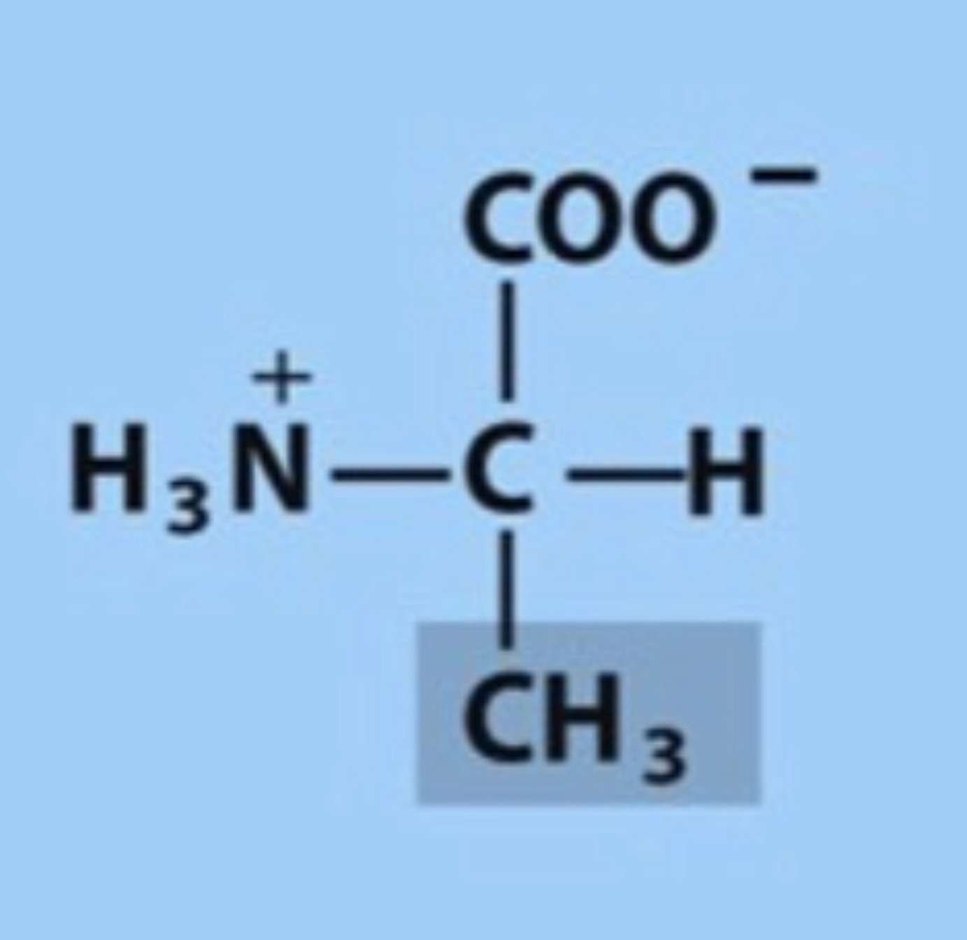 <p>Name the amino acid in figure</p>