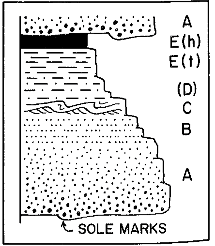<p><span>E – Suspended seds (mud and hemipelagic “organic snow”)</span></p><p><span>D – Laminated seds (LPB)</span></p><p><span>C – Ripples (x-bdd)</span></p><p><span>B – Laminated seds (UPB)</span></p><p><span>A – Massive to graded beds</span></p><p><span>Scour</span></p><p><span>Laterally and vertically adjacent (Walther’s Law)&nbsp;</span></p>