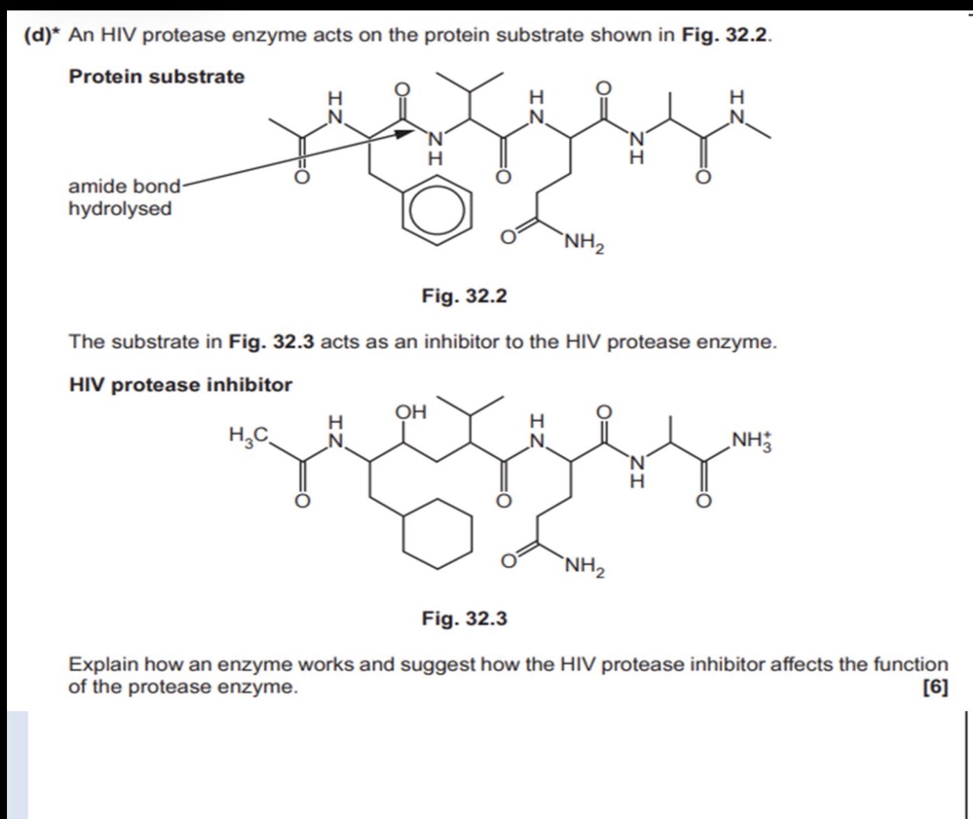 <p>Polymers of life pharmacaphore 6 marker</p>