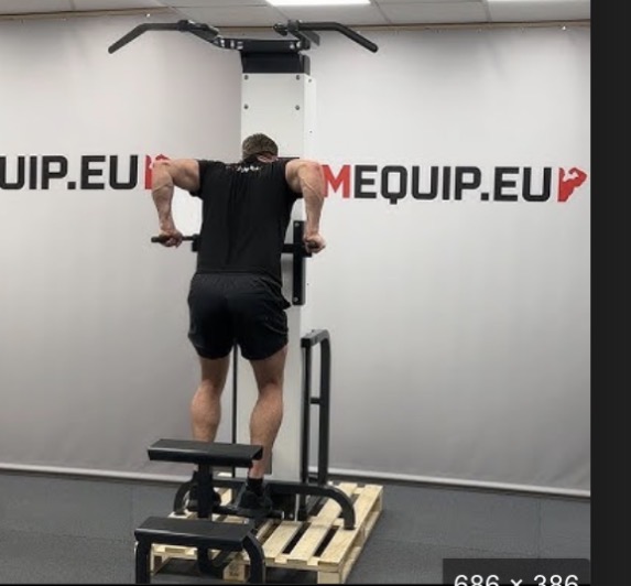 <p>Modular assistant dip target muscle and joint action</p>