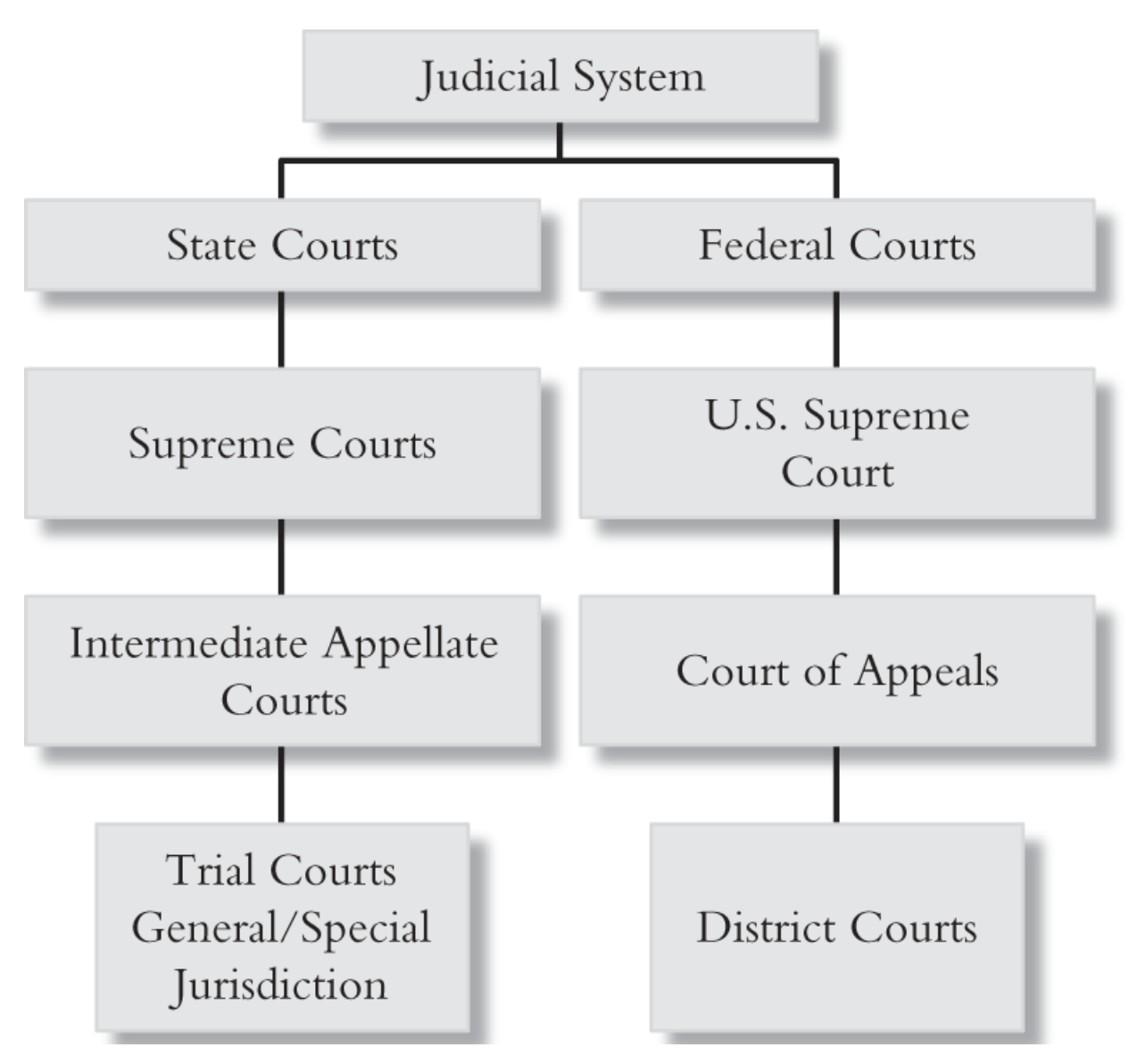 entry level trial courts