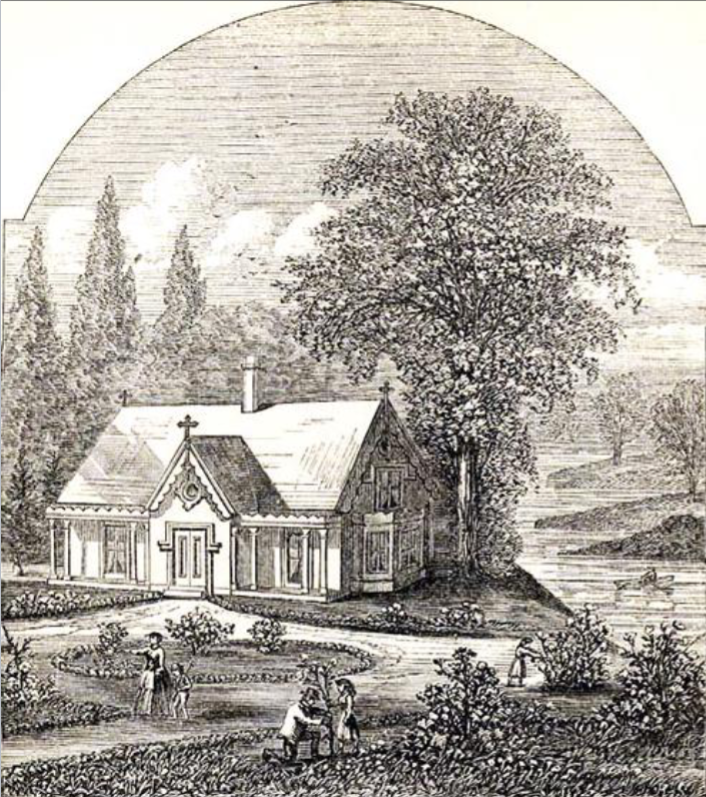 term image