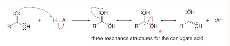 <ul><li><p>oxygen of carbonyl of carboxylic acid reacts with acid if strong enough acid</p></li></ul><p></p>