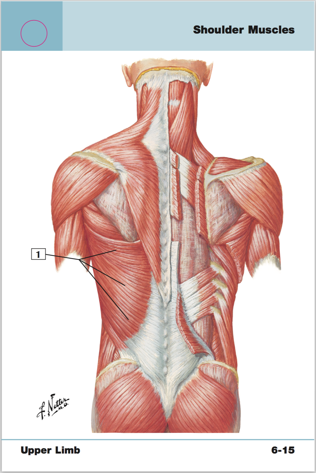 <p>+origin/insertion</p>