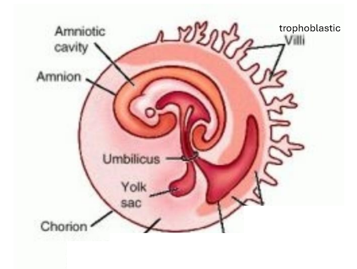 <p>label the diagram</p>