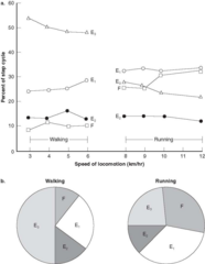 <p>The role of environmental information and the dynamic properties of the body/limbs.</p>