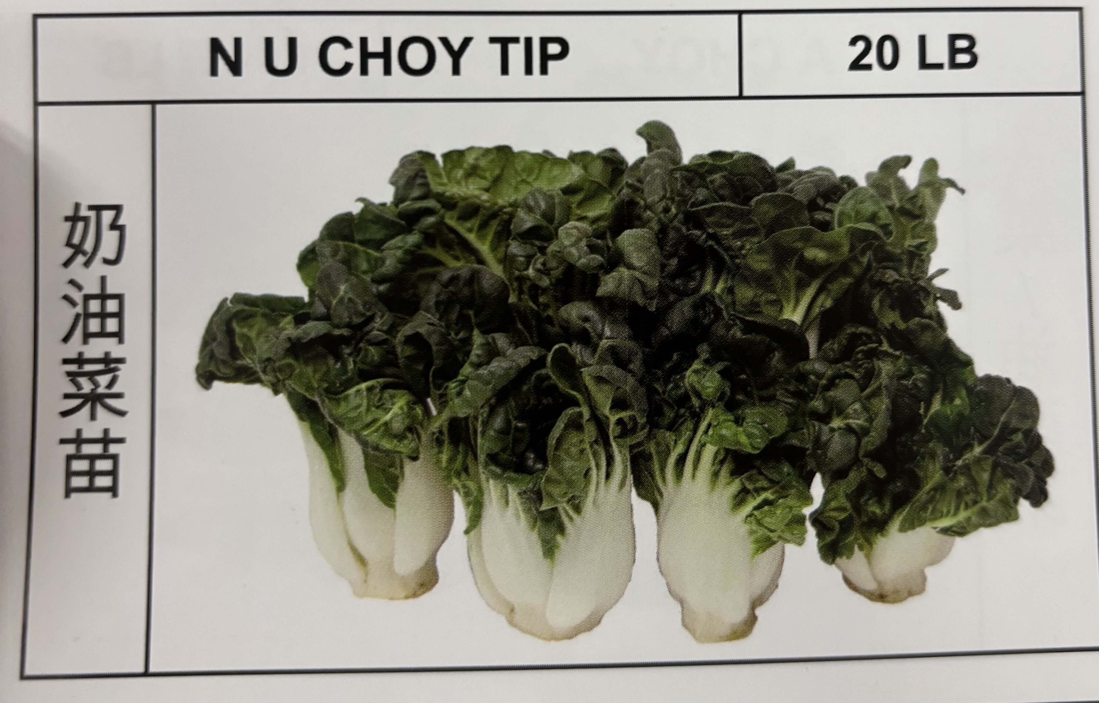 <p>N U CHOY TIP</p>
