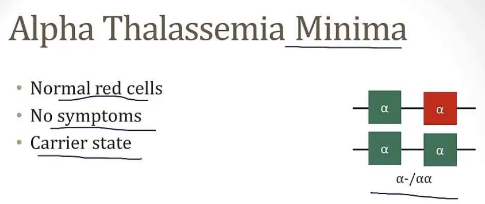 <p>-alpha thalassemia minima</p>
