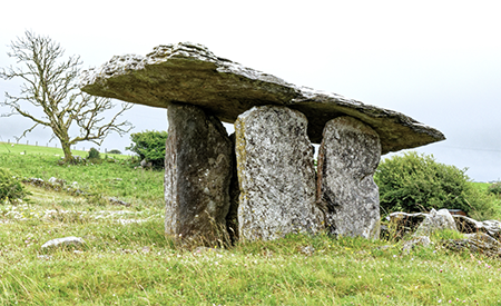 <p>What type of structure is this?</p>