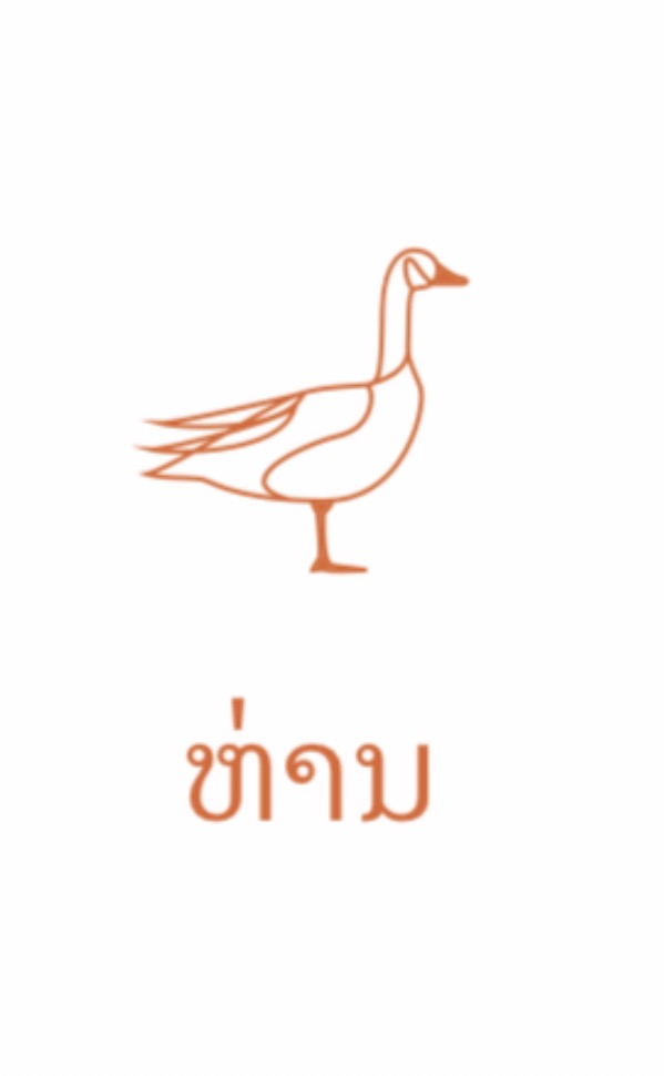<p><span><span>/haw/ haan "Duck"</span></span></p>