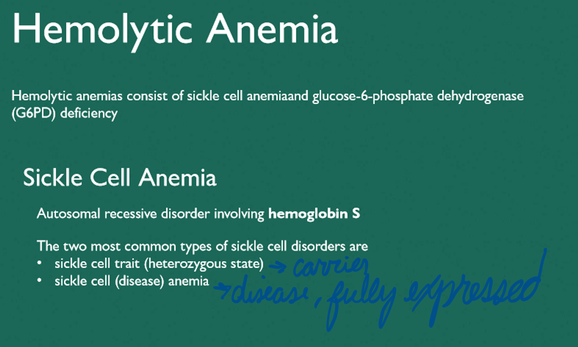 <p>Hemoglobin S </p>