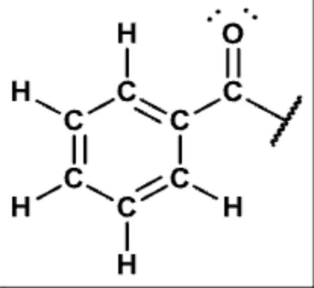 <p>Common side chains</p>