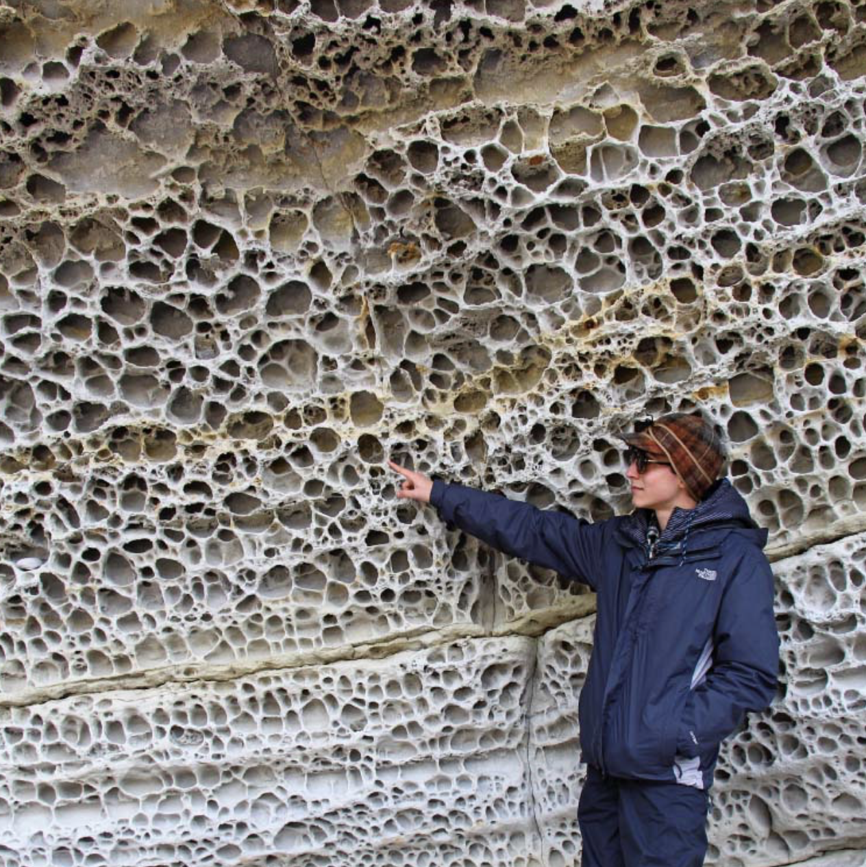 <p>dissolved salt in groundwater precipitates in open pore spaces in rocks, forming crystals that push apart the surrounding grains by weakening rock so that when exposed to wind and rain, the rock disintegrates into separate grains</p><ul><li><p>same phenomenon happens along the seacoast, where salt spray percolates into rock and then dries</p></li></ul><p></p>