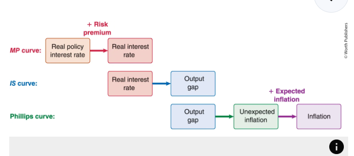 <ul><li><p>the IS curve, MP curve, and Phillips curve</p></li></ul><p></p>