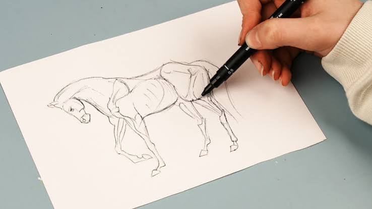 <p>画画</p>