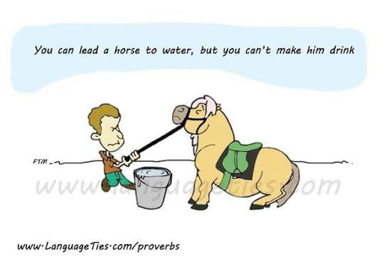 <p>lead sb to do</p><p>(1) His curiosity<mark data-color="green" style="background-color: green; color: inherit;"> ———him ———explore</mark> new ideas.</p>