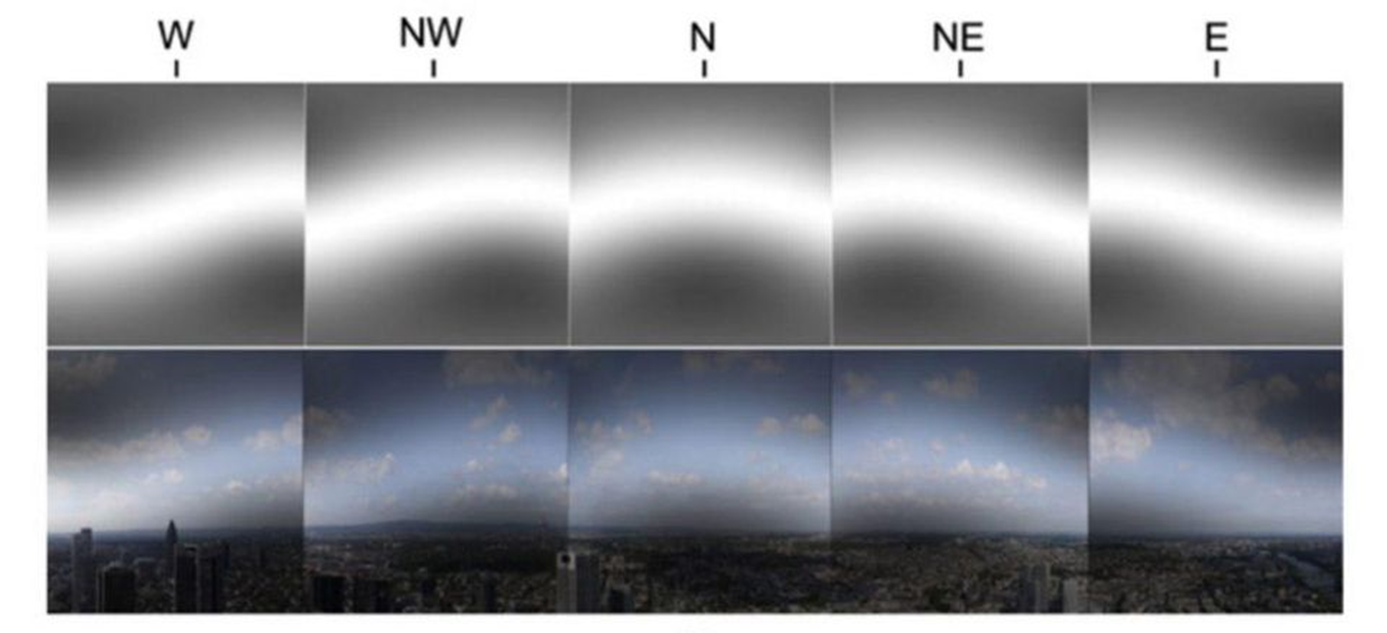 <ul><li><p>Geomagnetic cues </p><ul><li><p>birds use Earth’s magnetic field</p><ul><li><p>flow of liquid iron in Earth's core creates electric currents, which in turn creates the magnetic field</p></li><li><p>stronger magnetic “pull” at poles than toward the equator</p></li><li><p>cryptochrome 4 protein (cry4) is molecule that is sensitive to blue light and allows birds to “see” the magnetic field</p></li><li><p>cry4 proteins may produce a geomagnetic “filter” (top panel of figure) over a bird’s field of view (bottom panel)</p></li></ul></li></ul></li></ul><p></p>