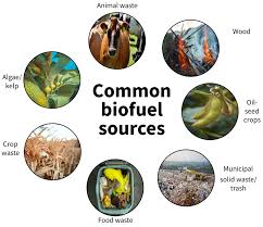 <p>Biomass</p>