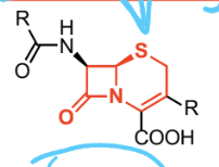 <p>Box with N attached to SIX member S ring</p><p>(PBP inhibitors, gram POSITIVE and NEGATIVE)</p>