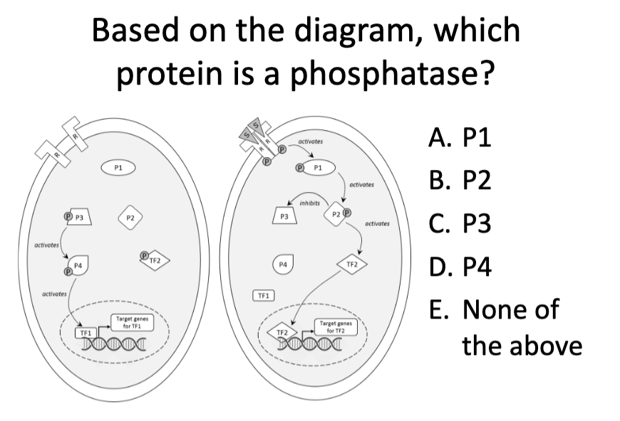 <p>Question</p>