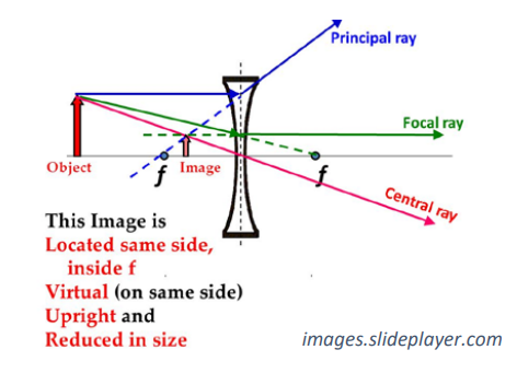 <ul><li><p>spreads light outwards: to correct short sightedness as light is focused in front of the retina so needs to be spread out slightly to be able to be focused onto retina </p></li><li><p>only have virtual images </p></li><li><p>light comes from focal point </p></li><li><p>represented with arrows pointing inwards</p></li></ul><p></p>