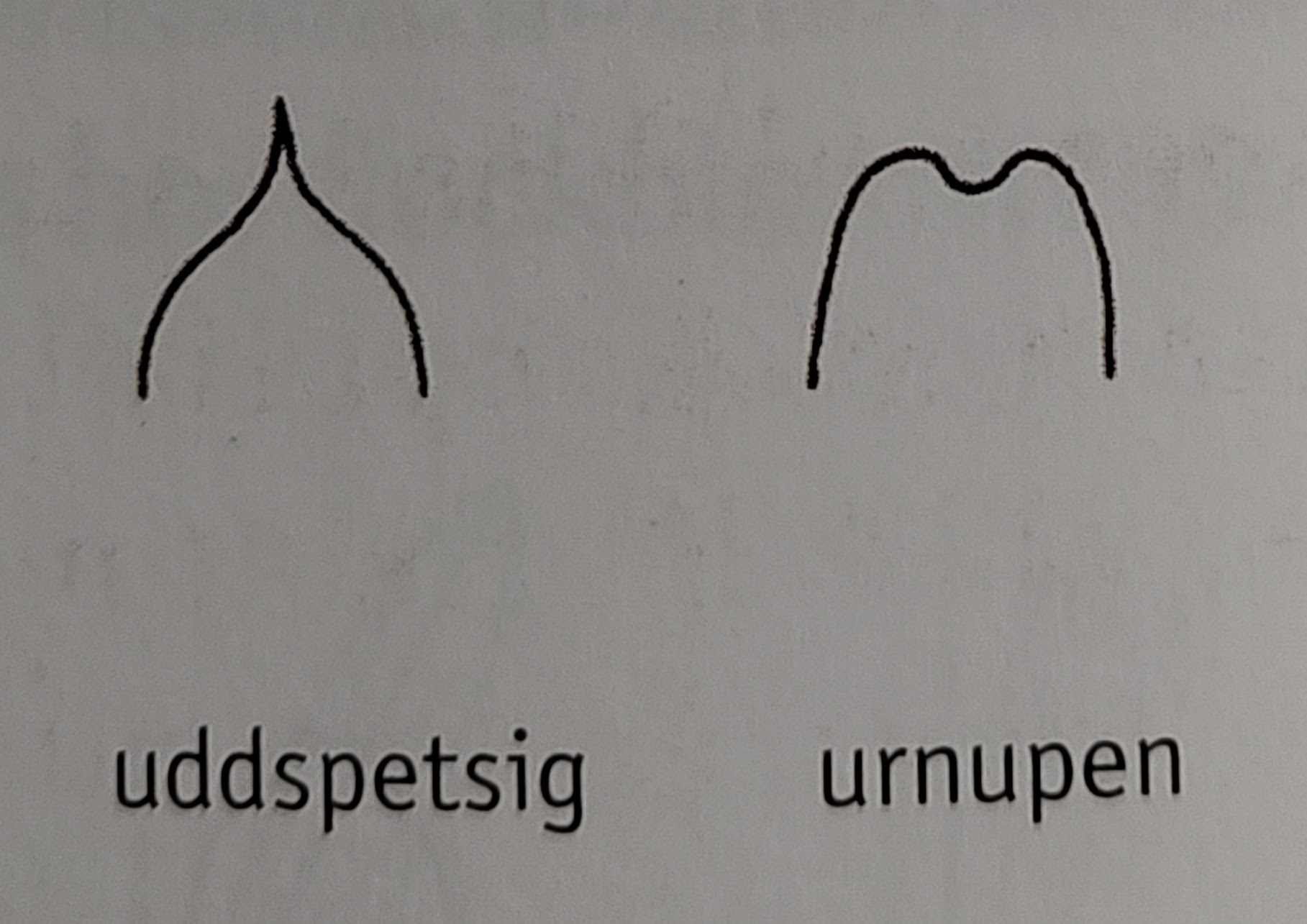 <p></p>