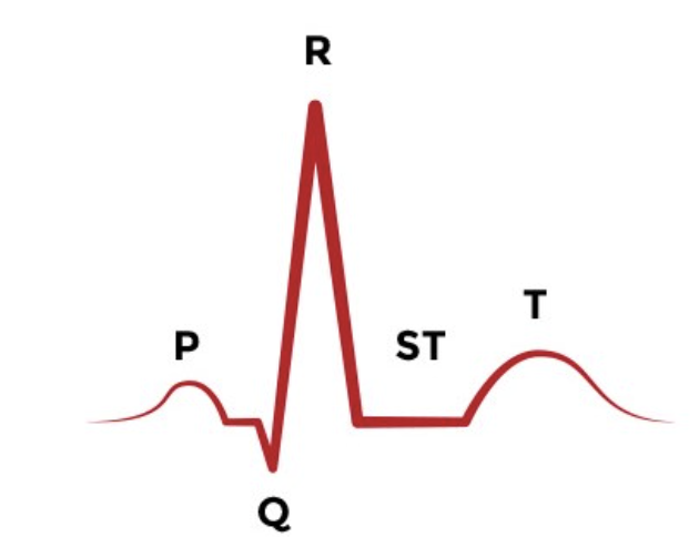 <p>p wave of ECG</p>