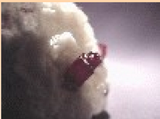 <p>HgS</p>