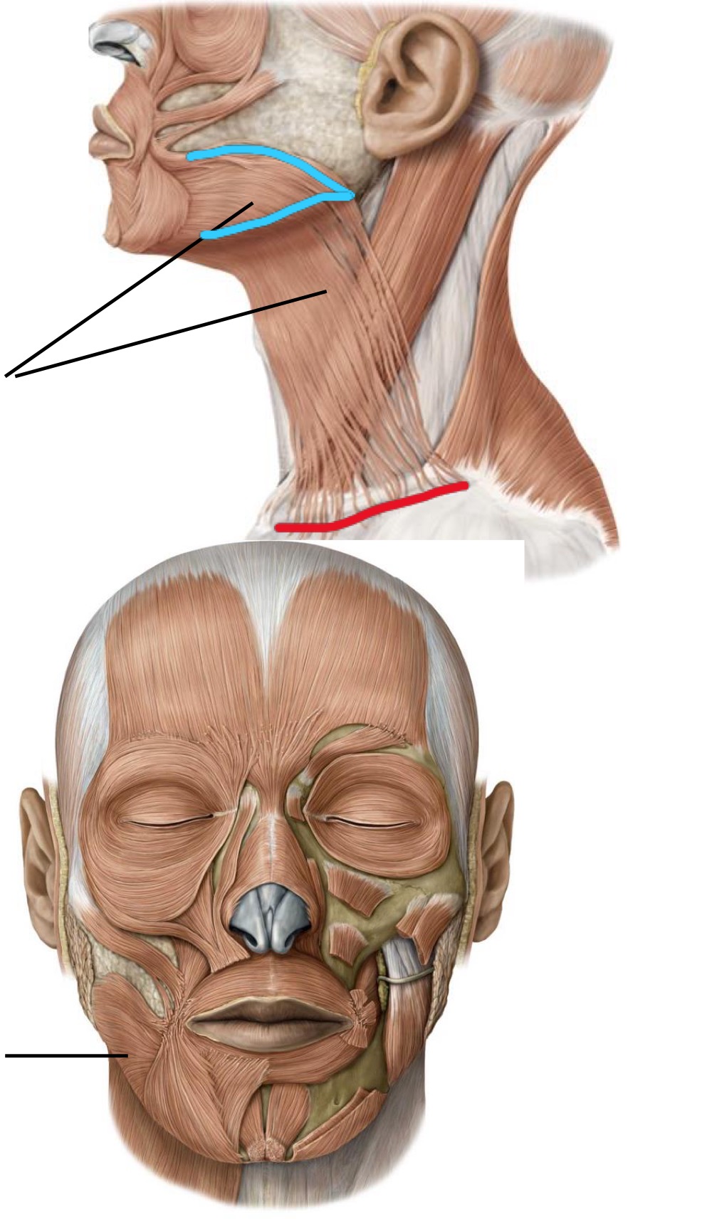 <p>What’s the name of the structure?</p>