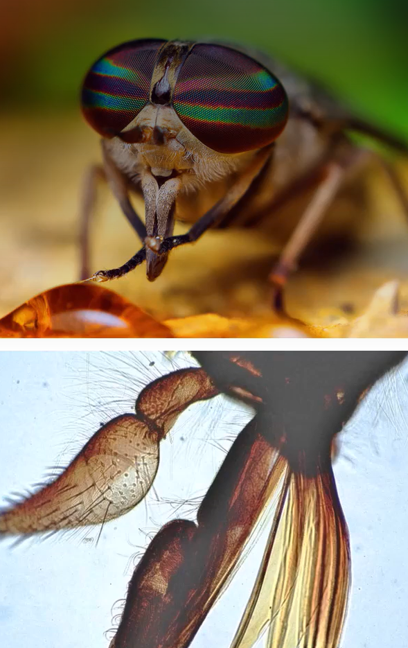 <p>What is this?</p>