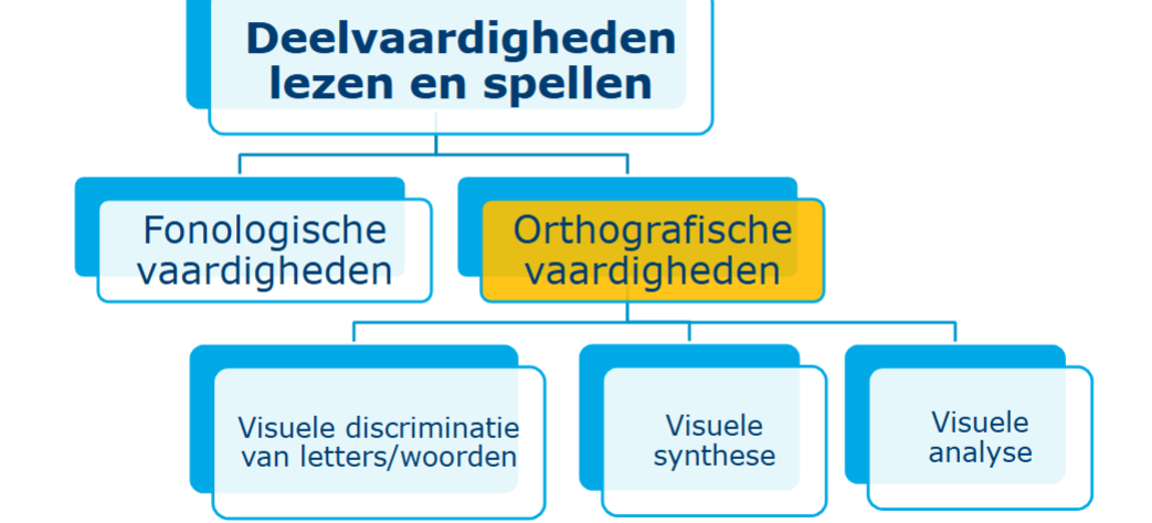 <p><strong>Orthografische vaardigheden</strong><br>Het vermogen om de juiste schrijfwijze van woorden te herkennen en toe te passen volgens spellingregels.</p><p><strong>Visuele discriminatie van letters/woorden</strong><br>Het vermogen om verschillen en gelijkenissen tussen letters en woorden visueel te herkennen.</p><p><strong>Visuele synthese</strong><br>Het samenvoegen van afzonderlijke letters of delen tot een volledig woord dat je herkent.</p><p><strong>Visuele analyse</strong><br>Het opdelen van woorden in kleinere visuele onderdelen, zoals letters of lettergroepen.</p>