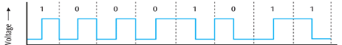 <ul><li><p>In this digital encoding scheme, every single bit has at least one significant voltage change in the middle of the bit window</p></li><li><p>Ensures constant synchronization between the sender and receiver</p></li></ul><p></p>