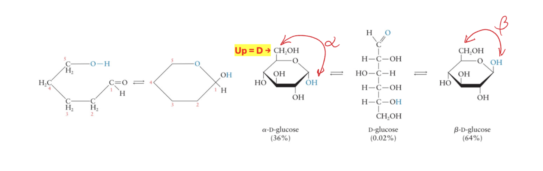 <ul><li><p>CH<sub>2</sub>OH up → D classification</p></li><li><p>CH<sub>2</sub>OH down → L classification</p></li></ul><p></p>