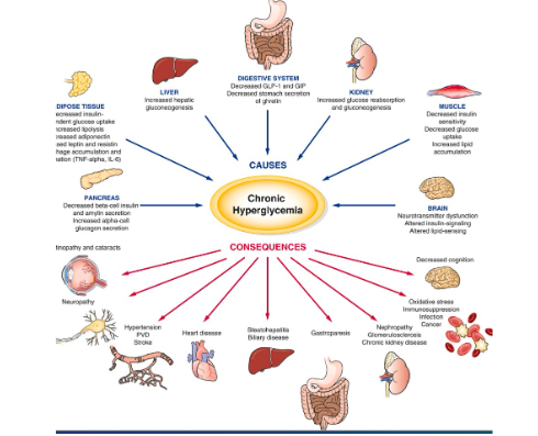 <ul><li><p>negativly effects all aspects of body</p></li></ul><p></p>
