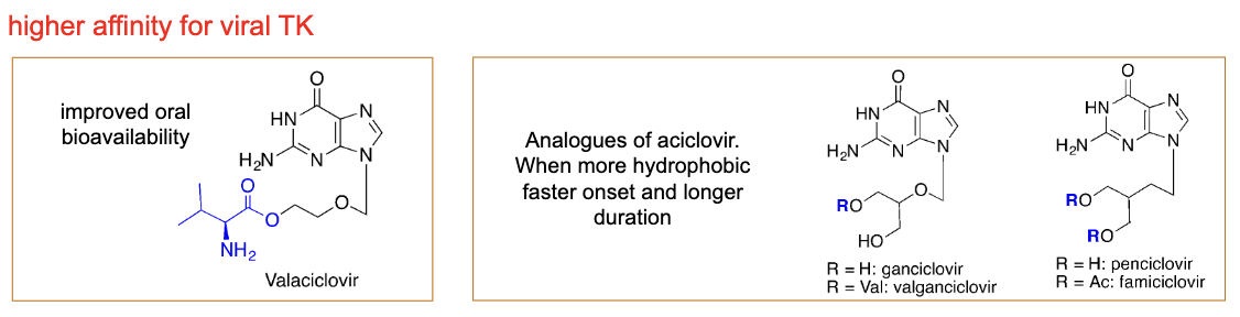 <p>has poor oral bioavailabilty → given topically </p><ul><li><p>valociclivir has improved oral bioavailabiltiy </p></li><li><p>more hydrophobic → faster onset and longer duration</p></li></ul><p></p>