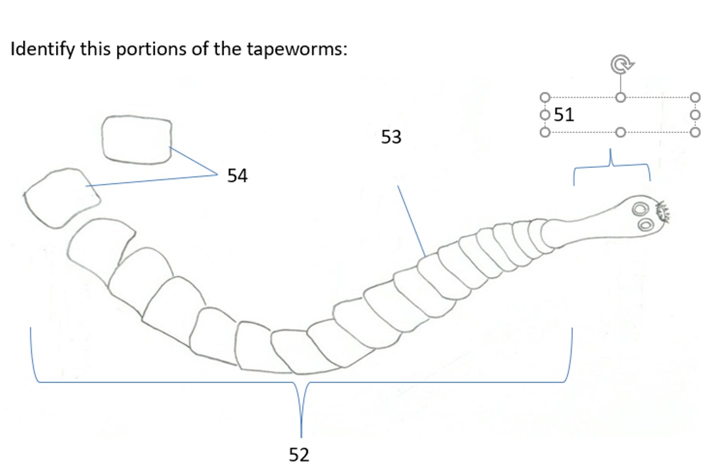 <p>What is 53?</p>