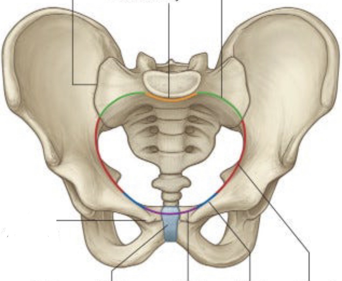 <p>what is the yellow line?</p>