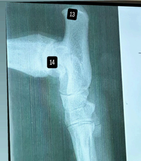 <p>podaj 2 struktury</p>