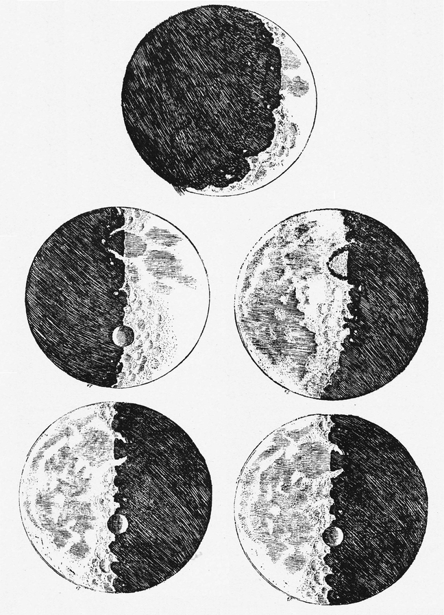 term image